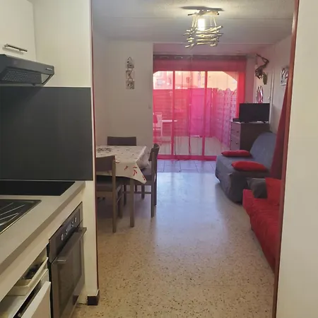 Studio 4 Pers Terrasse Climatisation Parking Prive 300M Plage Apartment