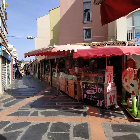 Apartment Studio 4 Pers Terrasse Climatisation Parking Prive 300M Plage Agde